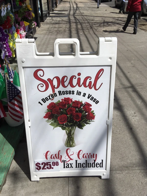 Web image: A Frames 1